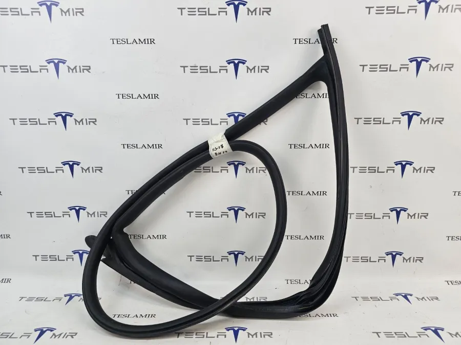 Уплотнитель дверного проема передний правый Tesla Model 3 2024 — фото 1